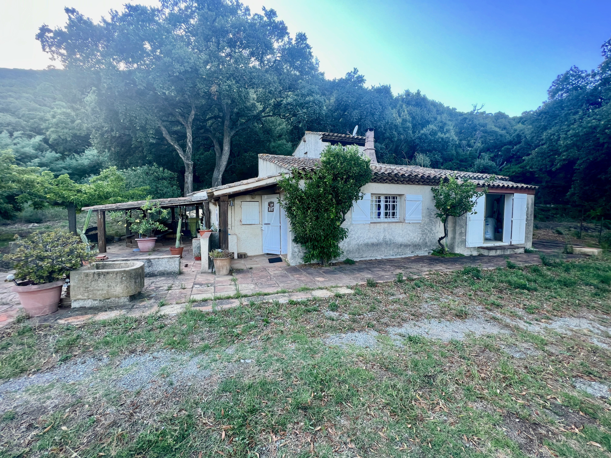 Maison et dépendances sur parcelle arborée de plus de 15 000 M2 — photo 8